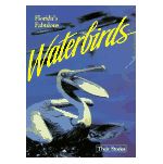 Florida's Fabulous Waterbirds