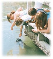 Kids with manatee photo